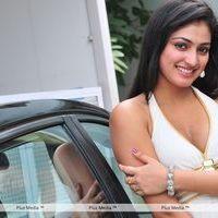 Haripriya New Photo Shoot - Pictures | Picture 115620